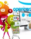 OpenCart E-Commerce Website Design &amp; Development Services